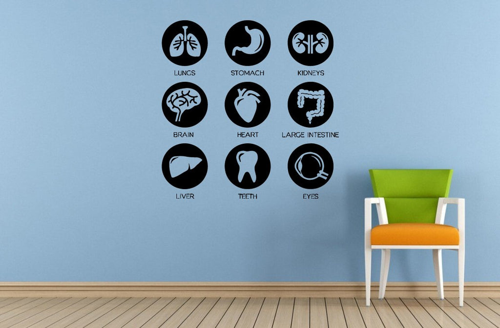Human Anatomy Living Organs Health Life Window Or Wall Or Car Vinyl Peal And Stick Removable Sticker Decal L1478