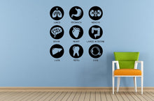 Load image into Gallery viewer, Human Anatomy Living Organs Health Life Window Or Wall Or Car Vinyl Peal And Stick Removable Sticker Decal L1478