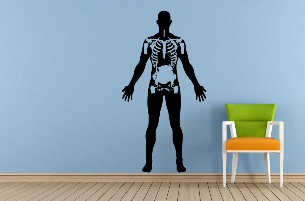 Human Anatomy Living Organs Health Life Window Or Wall Or Car Vinyl Peal And Stick Removable Sticker Decal L1479