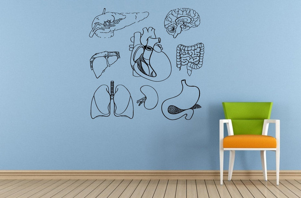 Human Anatomy Living Organs Health Life Window Or Wall Or Car Vinyl Peal And Stick Removable Sticker Decal L1480