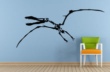 Load image into Gallery viewer, Dinosaur Ancient Reptile Animal Pterosaurs Flying Skeleton Predator Window Or Wall Or Car Vinyl Peal And Stick Removable Sticker Decal L1506