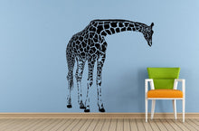 Load image into Gallery viewer, Long Neck Animal Giraffe Safari Savannah Africa Jungle Wall Decal Vinyl Sticker Mural Room Decor L1542