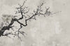 Japanese Cherry Blossom Tree Branch Wallpaper Mural – Minimalist Zen Style Wall Decor, Modern Neutral Aesthetic, Stylish Gift, Peel & Stick