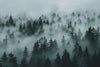 Foggy Pine Forest Wallpaper Mural – Dark Green Woodland Wall Decor for Bedroom, Living Room or Kids Room – Modern Bold Accent Removable