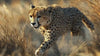 Prowling Cheetah Wall Mural – Bold Safari Accent Wallpaper – Wildlife Art for Stylish Decor – Gift for Him – Birthday or Holiday Idea