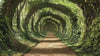 3D Forest Tunnel Bedroom Mural - Modern Nature Wall Art - Immersive Green Decor - Stylish Gift for Birthdays or Holidays