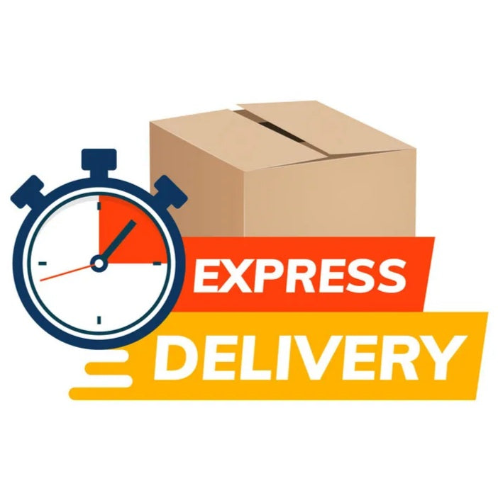 Express Delivery Payment